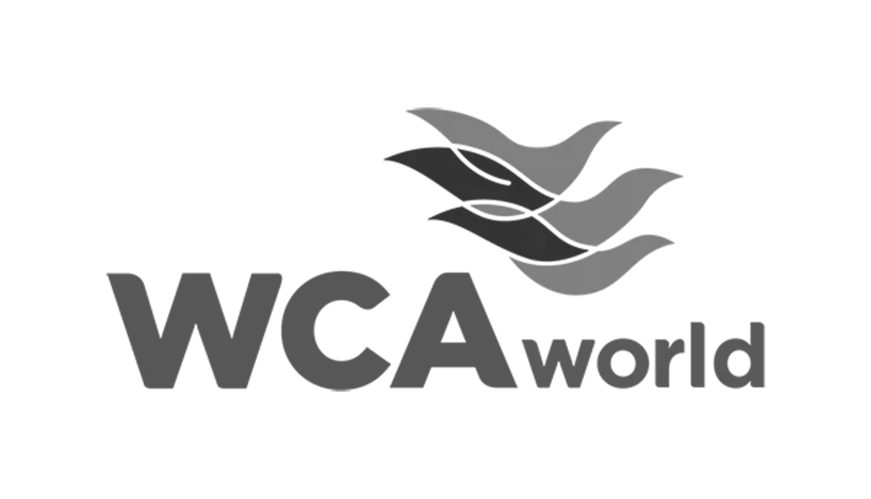 WCA World