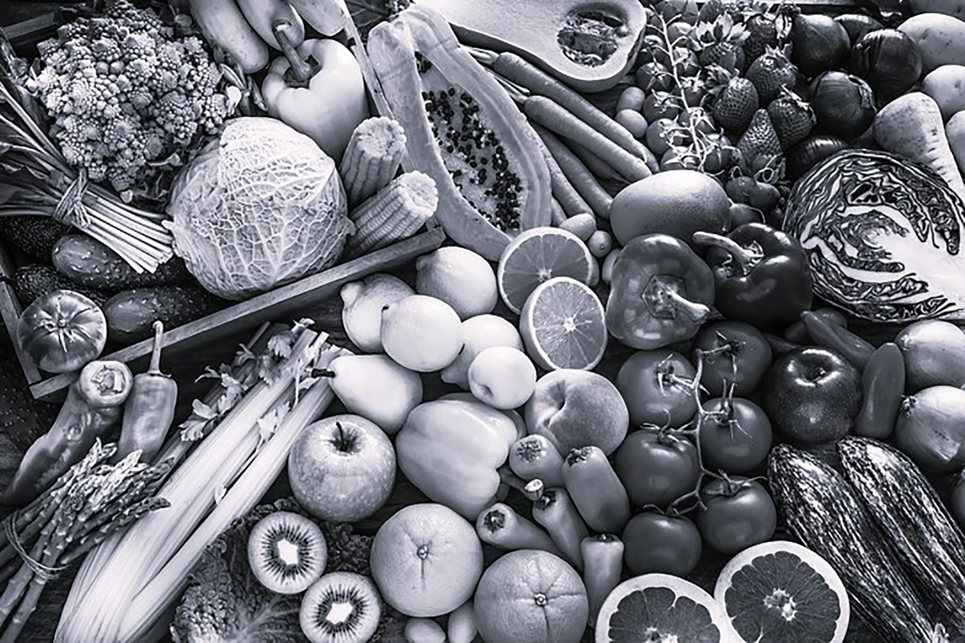 Perishable Cargo & Agro products